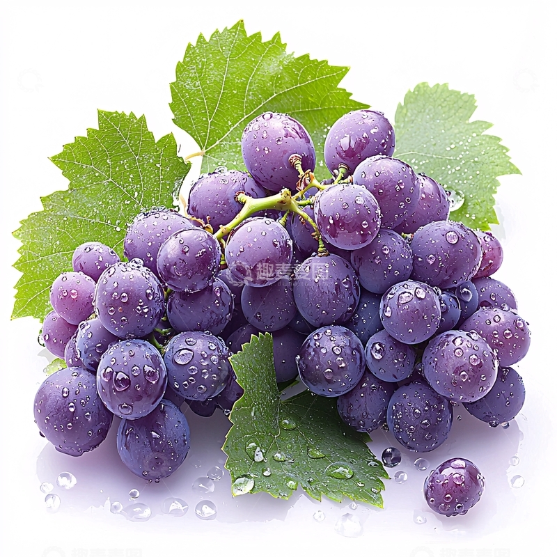 高清大图下载【趣麦麦图】紫葡萄带水珠
