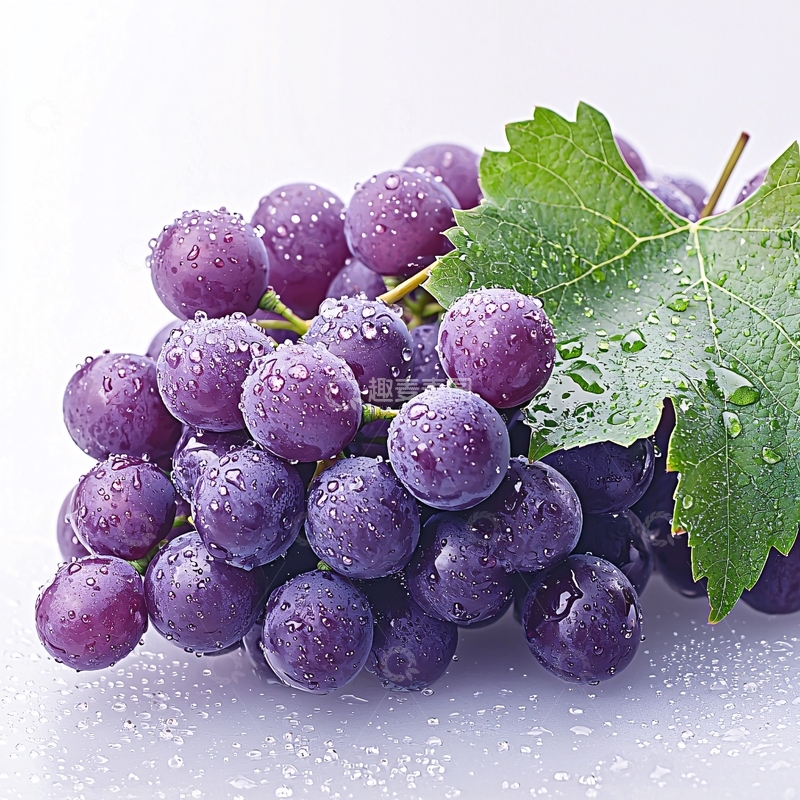 高清大图下载【趣麦麦图】紫葡萄带水珠的特写