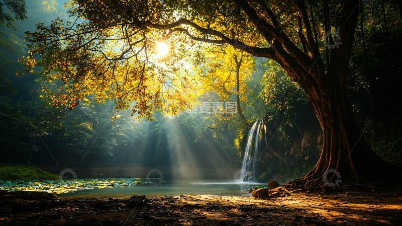 高清大图下载【趣麦麦图】阳光穿透树林水面