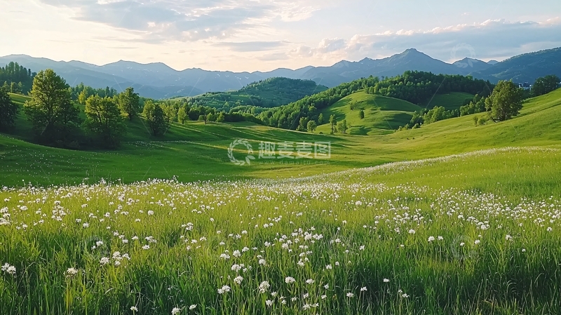 高清大图下载【趣麦麦图】绿色山坡上的野花田