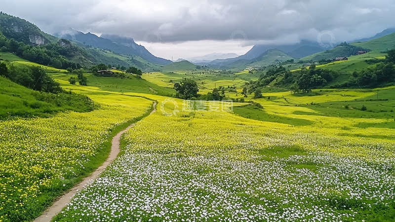 高清大图下载【趣麦麦图】绿色山谷中的小路