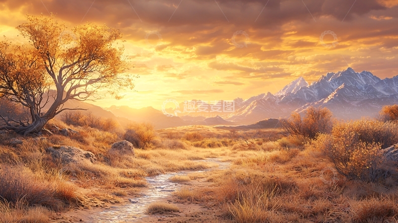 高清大图下载【趣麦麦图】金色阳光下的荒凉景色