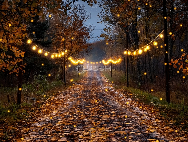高清大图下载【趣麦麦图】秋夜森林小路灯光
