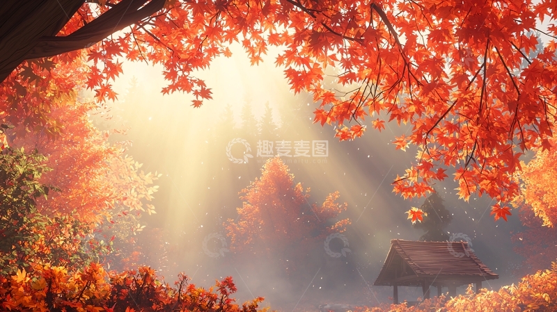 高清大图下载【趣麦麦图】秋日阳光下的红色树林