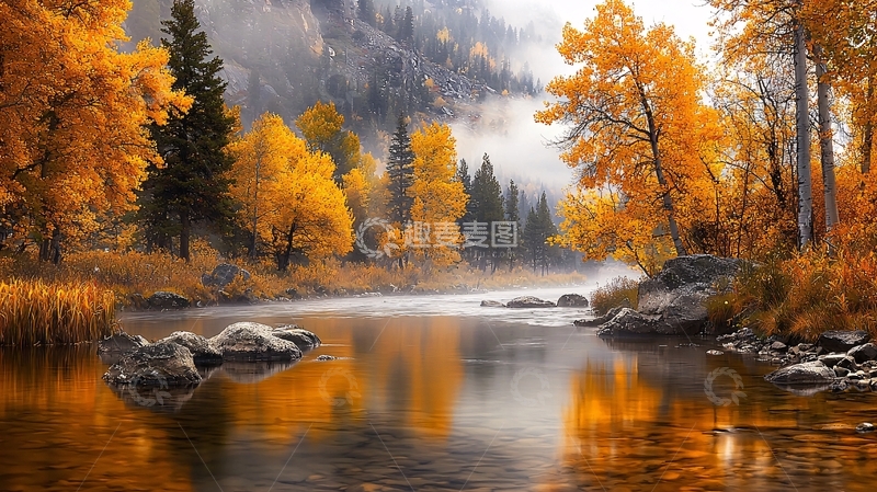 高清大图下载【趣麦麦图】秋日金色森林河流美景