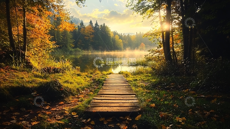 高清大图下载【趣麦麦图】秋日森林湖畔的宁静清晨
