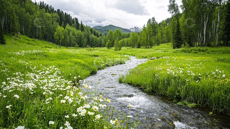 高清大图下载【趣麦麦图】绿意盎然的小溪流水