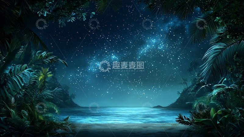 高清大图下载【趣麦麦图】星空下的海滩
