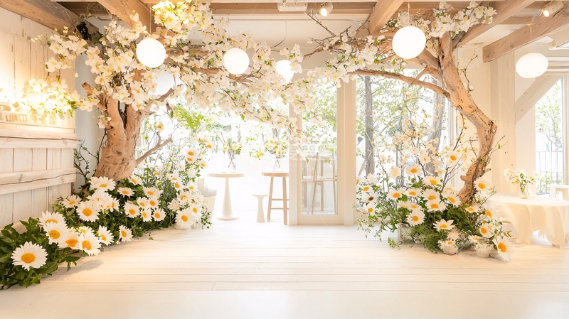 高清大图下载【趣麦麦图】白色花卉装饰的室内