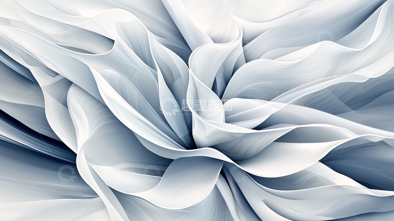 高清大图下载【趣麦麦图】白色花瓣抽象背景