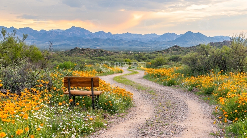 高清大图下载【趣麦麦图】蜿蜒小路通向远山