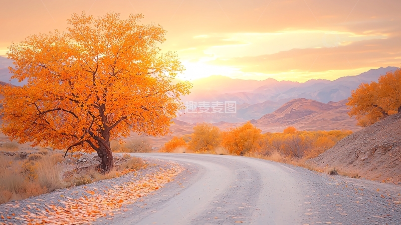 高清大图下载【趣麦麦图】金色秋叶点缀下的道路