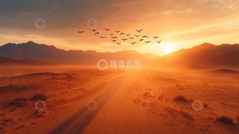 高清大图下载【趣麦麦图】金色沙漠中的日落群鸟飞翔