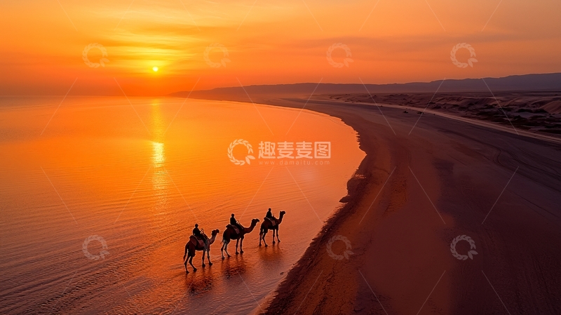 高清大图下载【趣麦麦图】金色海岸线上骆驼剪影