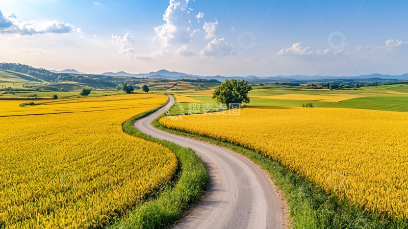高清大图下载【趣麦麦图】田野道路的风景