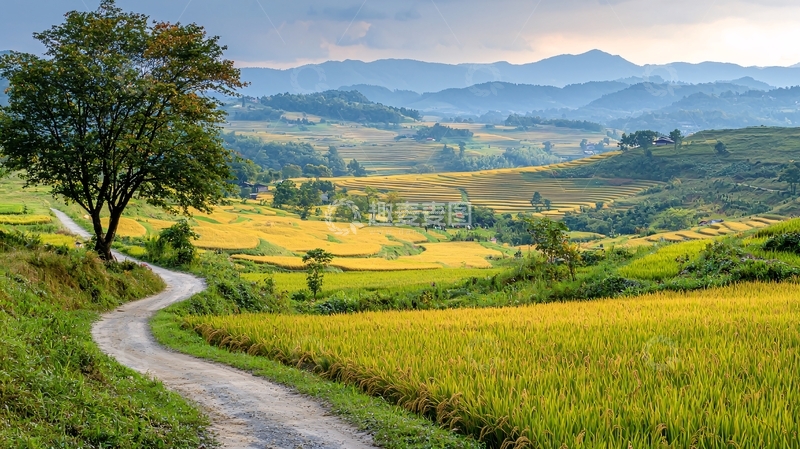 高清大图下载【趣麦麦图】蜿蜒小路通向远方田野