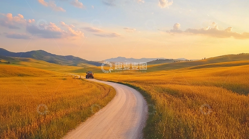 高清大图下载【趣麦麦图】金色田野中的蜿蜒道路