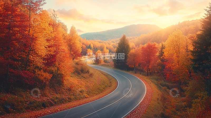 高清大图下载【趣麦麦图】秋日森林公路美景