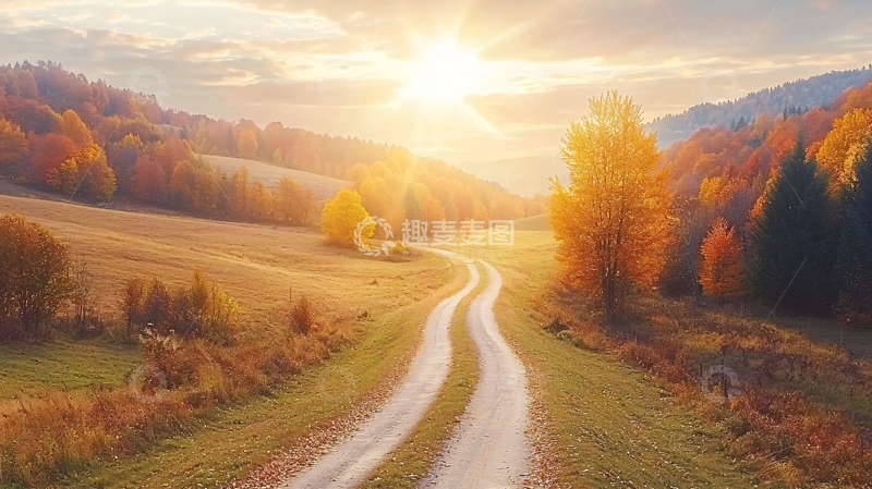 高清大图下载【趣麦麦图】秋日阳光下的田园小路