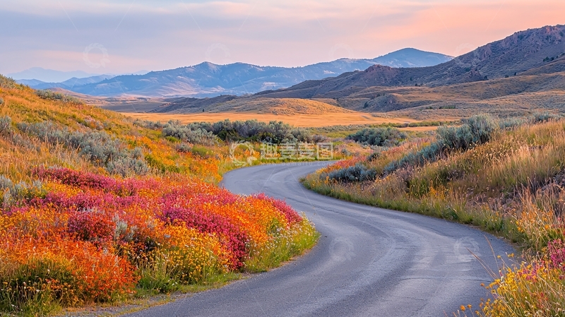 高清大图下载【趣麦麦图】秋日蜿蜒的道路