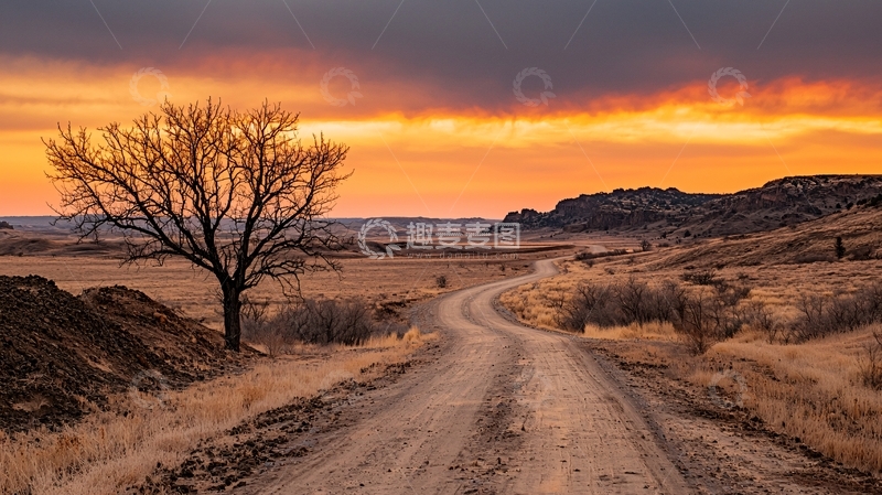 高清大图下载【趣麦麦图】旷野日落下的孤独树