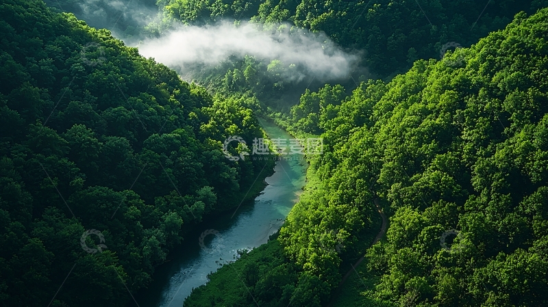 高清大图下载【趣麦麦图】绿色森林中的河流