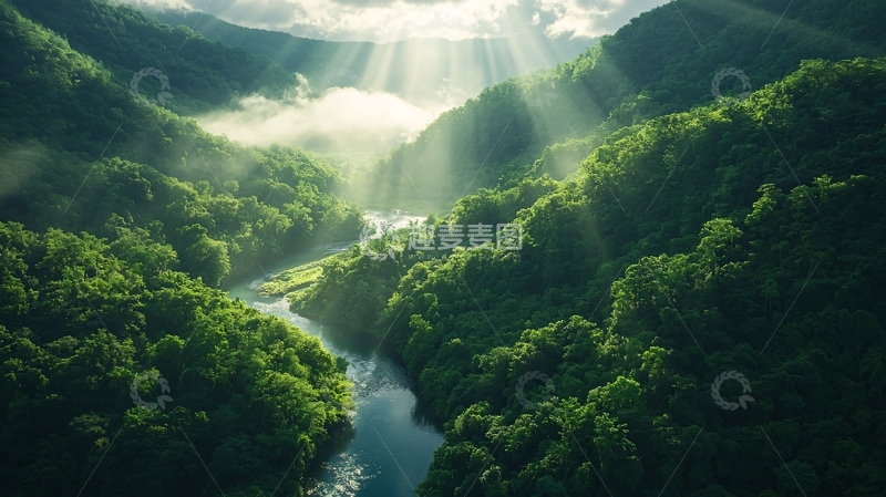 高清大图下载【趣麦麦图】绿色山谷中阳光穿透森林