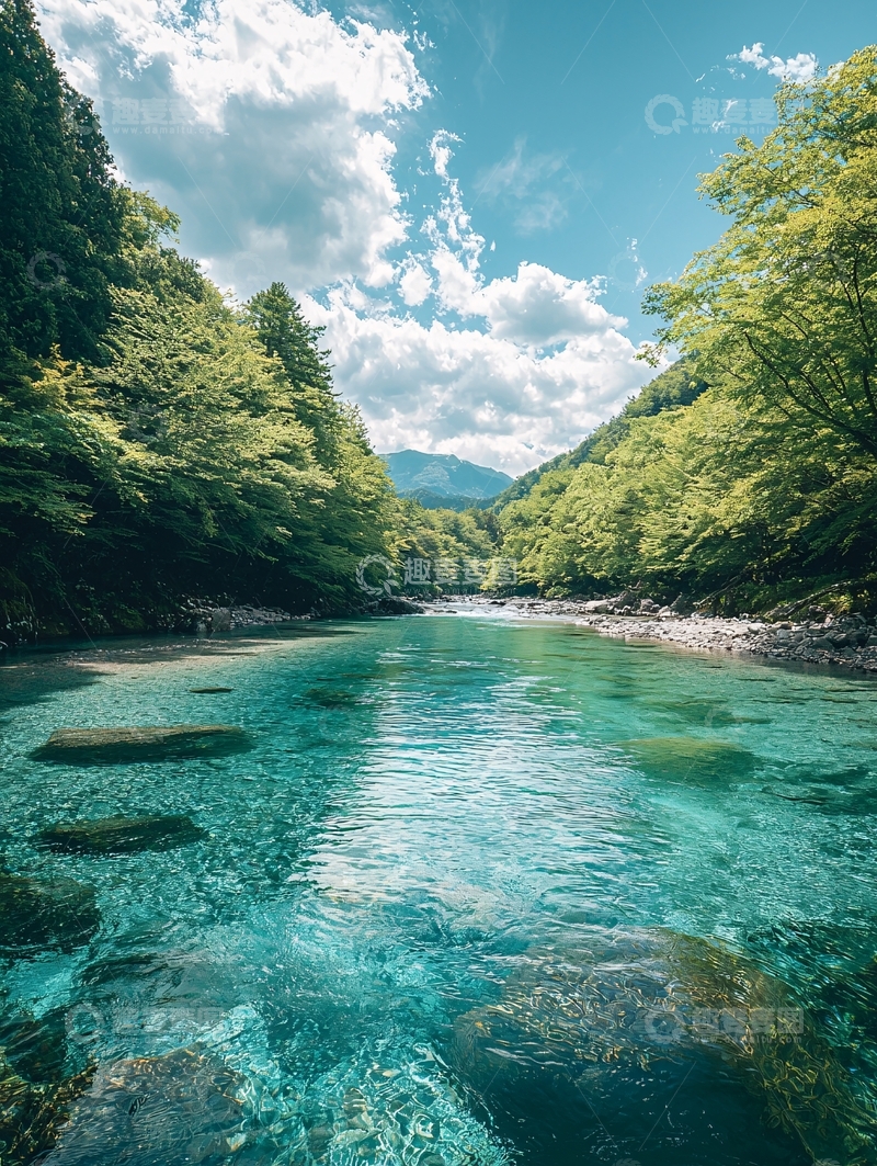 高清大图下载【趣麦麦图】清澈河流穿过茂密森林