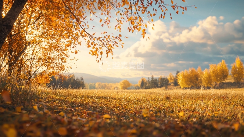 高清大图下载【趣麦麦图】秋日金色田野阳光