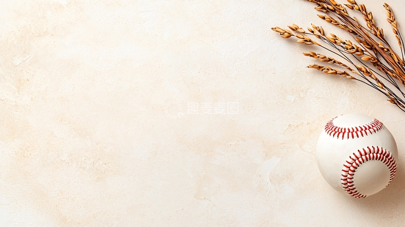 高清大图下载【趣麦麦图】棒球与干草的简约静物