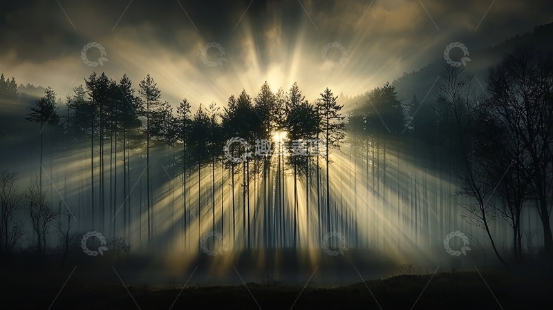 高清大图下载【趣麦麦图】阳光穿透树林的光芒