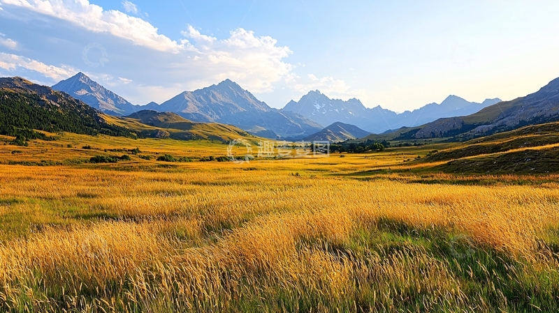 高清大图下载【趣麦麦图】金色草地远山蓝天白云