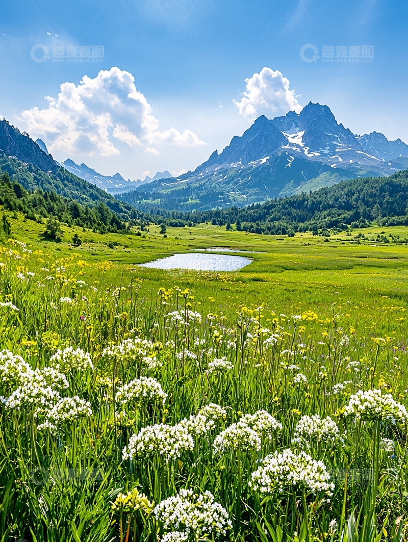 高清大图下载【趣麦麦图】绿意盎然的山间草甸