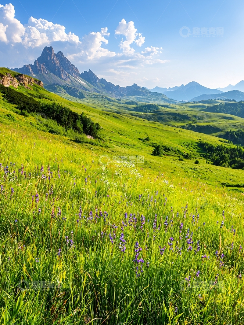 高清大图下载【趣麦麦图】山峦草原风光