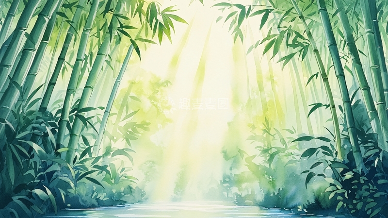 高清大图下载【趣麦麦图】翠绿竹林阳光洒落