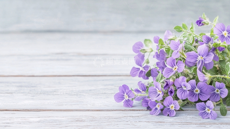高清大图下载【趣麦麦图】淡紫色小花在木纹背景上