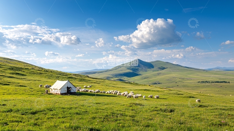 高清大图下载【趣麦麦图】草原上的帐篷和羊群