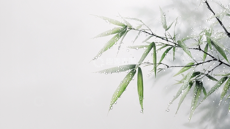 高清大图下载【趣麦麦图】清新淡雅的竹叶枝条
