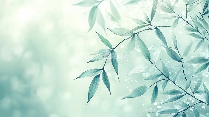 高清大图下载【趣麦麦图】浅绿色竹叶高清图片