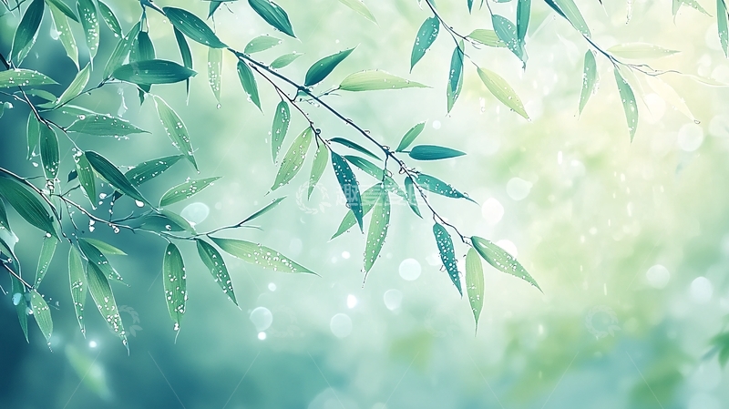 高清大图下载【趣麦麦图】清新叶子光影