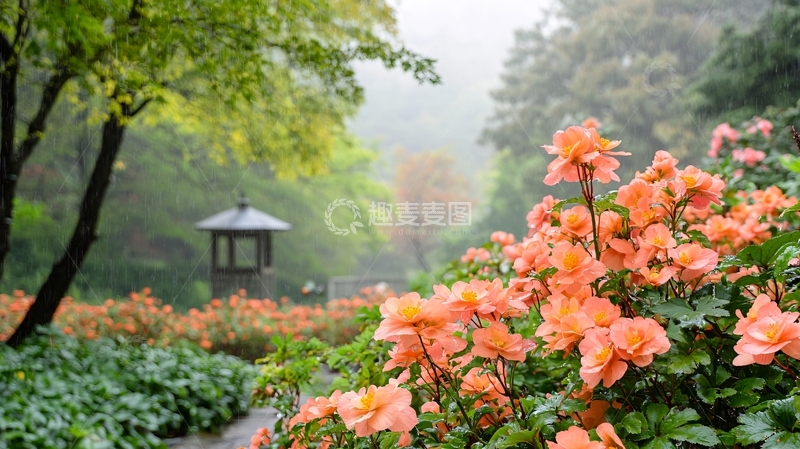 高清大图下载【趣麦麦图】美丽花园小亭子