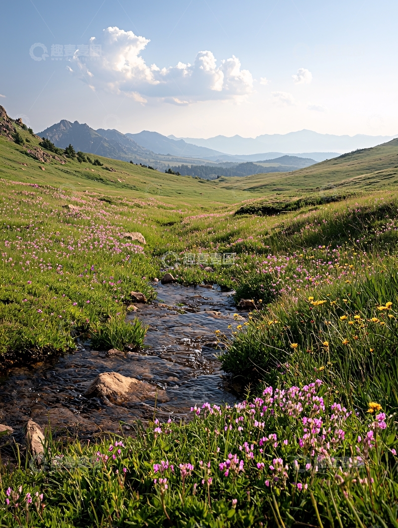 高清大图下载【趣麦麦图】蜿蜒小溪穿过绿色山谷