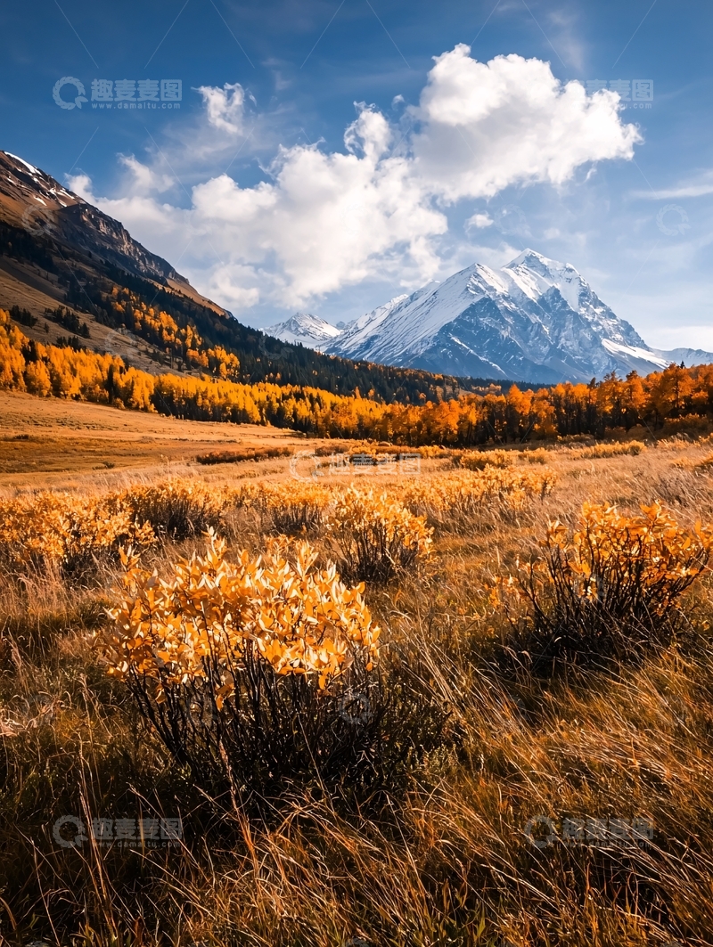 高清大图下载【趣麦麦图】秋日山景与雪山辉映