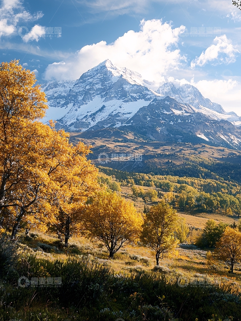 高清大图下载【趣麦麦图】秋日雪山下的金色森林