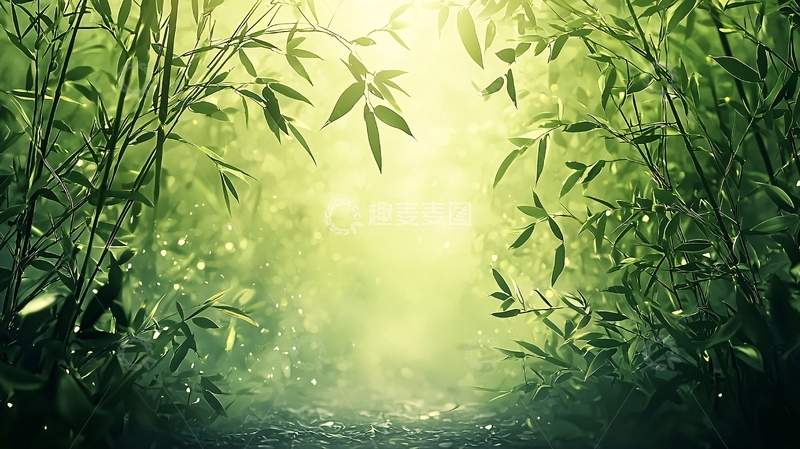 高清大图下载【趣麦麦图】光线穿过竹林的意境