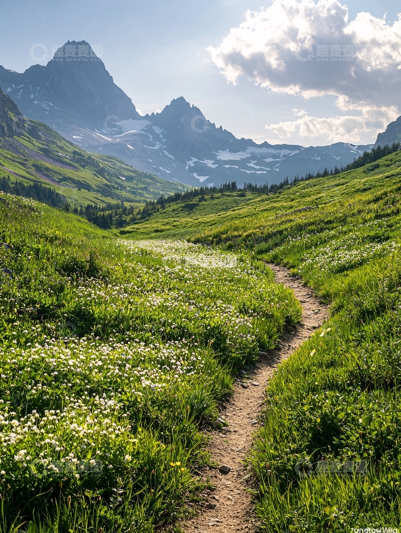 高清大图下载【趣麦麦图】山间小路鲜花盛开风景