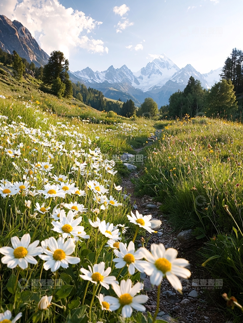 高清大图下载【趣麦麦图】鲜花盛开的山间小路