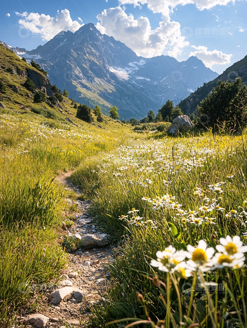 高清大图下载【趣麦麦图】山间小路花草遍布