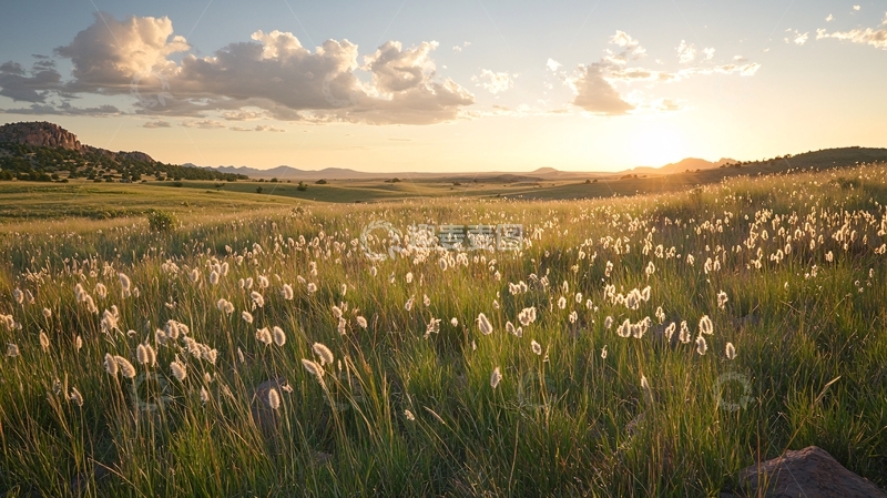 高清大图下载【趣麦麦图】夕阳下的草原风光