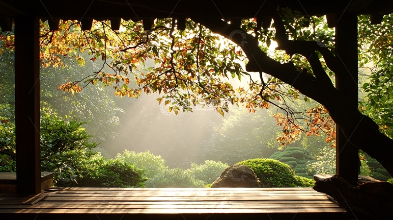 高清大图下载【趣麦麦图】秋日阳光透过树梢